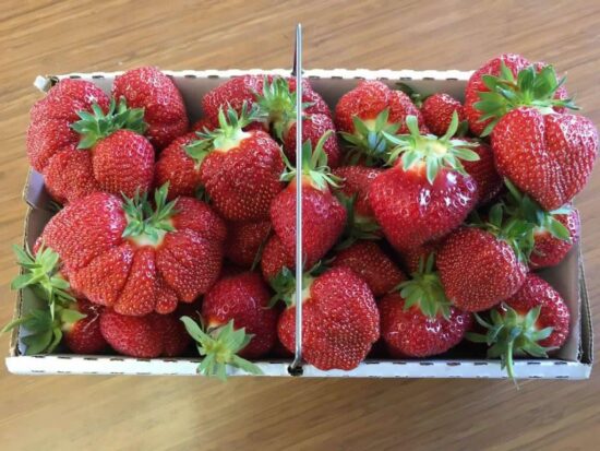 strwaberries