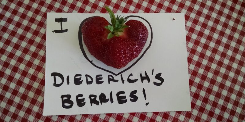 I love Diederichs berries